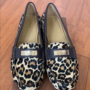 Women coach loafers